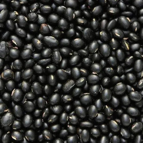 Urad Whole, Mash Whole,