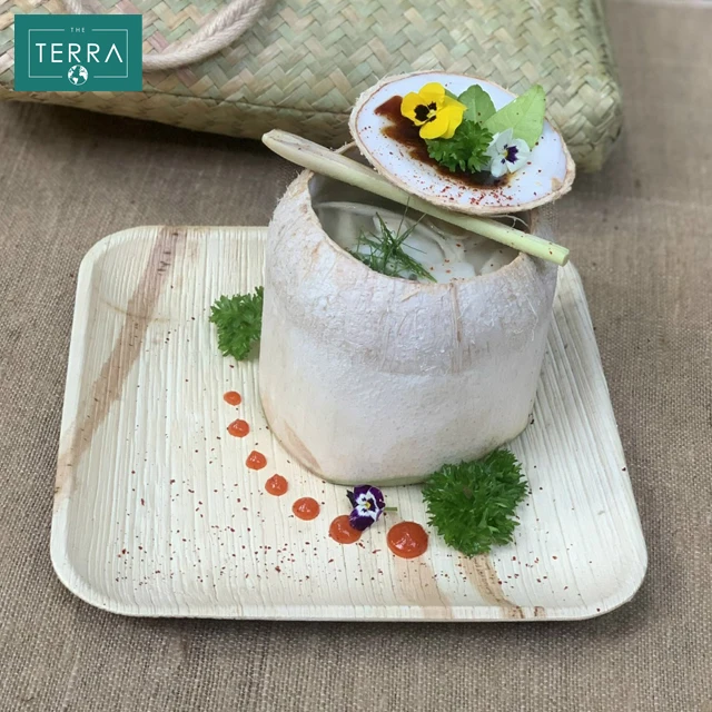 Home Garden Vietnam Tabletop Kitchen 12 cm x 4 cm Disposable Tableware Areca leaf Round Food Bowl 12 With None Accessories