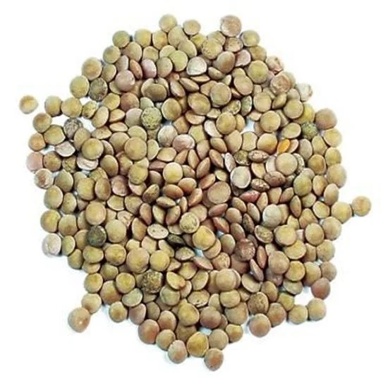 Canadian Green Lentils/ Red Lentils Wholesale / Red Split and Football Red type Red Lentils