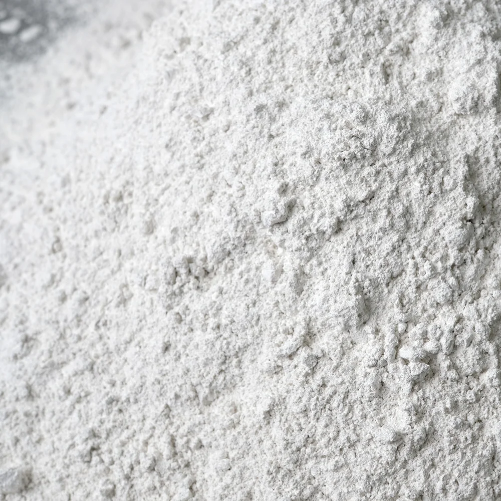 Vietnam Factory Direct Calcium Hydroxide Slaked Lime Ca(OH)2 with High Quality