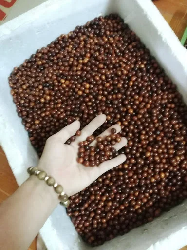 High quality round wooden beads from Vietnam/ Raw spacer lotus bead Competitive Price