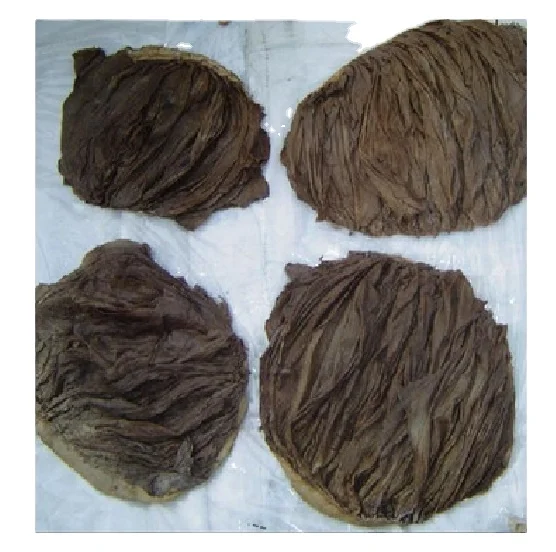 A Category Top Quality Dried Cow Salted Beef Omasum From Pakistan in High Quality Packaging 800g Per Piece