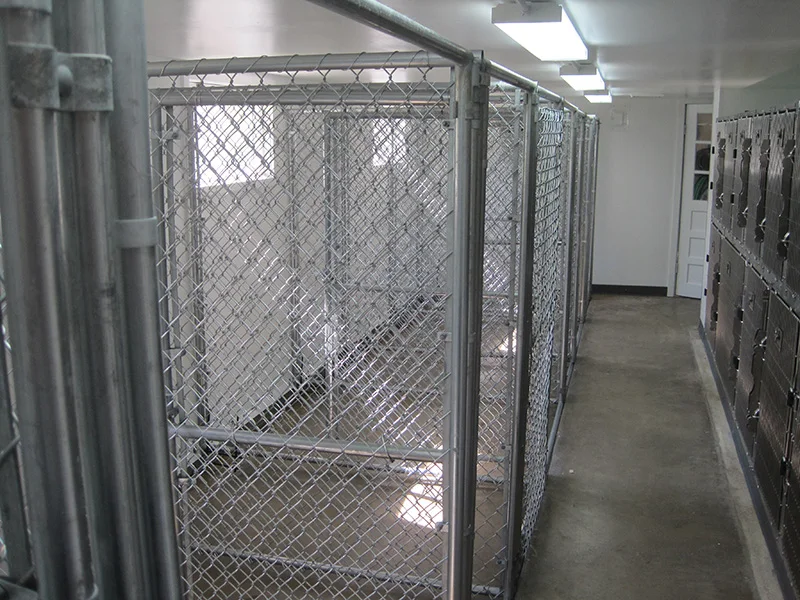 New style high quality top-selling factory direct supply dog kennels