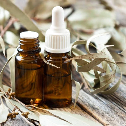 100% Pure Natural Eucalyptus Hydrosol Supply For Skin Care