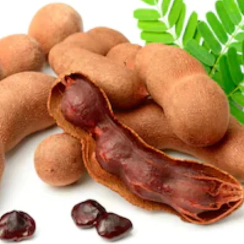Sweet Organic Tamarind  Dried Fruit with Sugar High Quality from Thailand for 100% Export