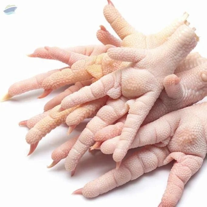 Chicken Feet and Paws Frozen Top Box Style Packaging Feature Weight Shelf Origin Cutting Type Life Grade Product BQF