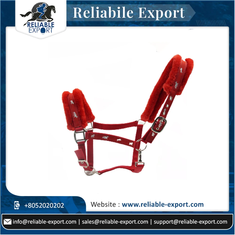 Top Seller High Quality PP Horse Halters Bulk Manufacturer Supplier Buy At Low Price