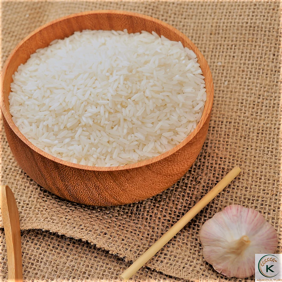 Лидер продаж белый рис ST24 с длинным зерном Лучшая цена для оптовой продажи