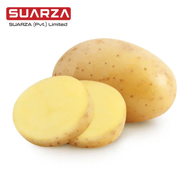 Unique Supplier in Pakistan Fresh Potato (90-200g)