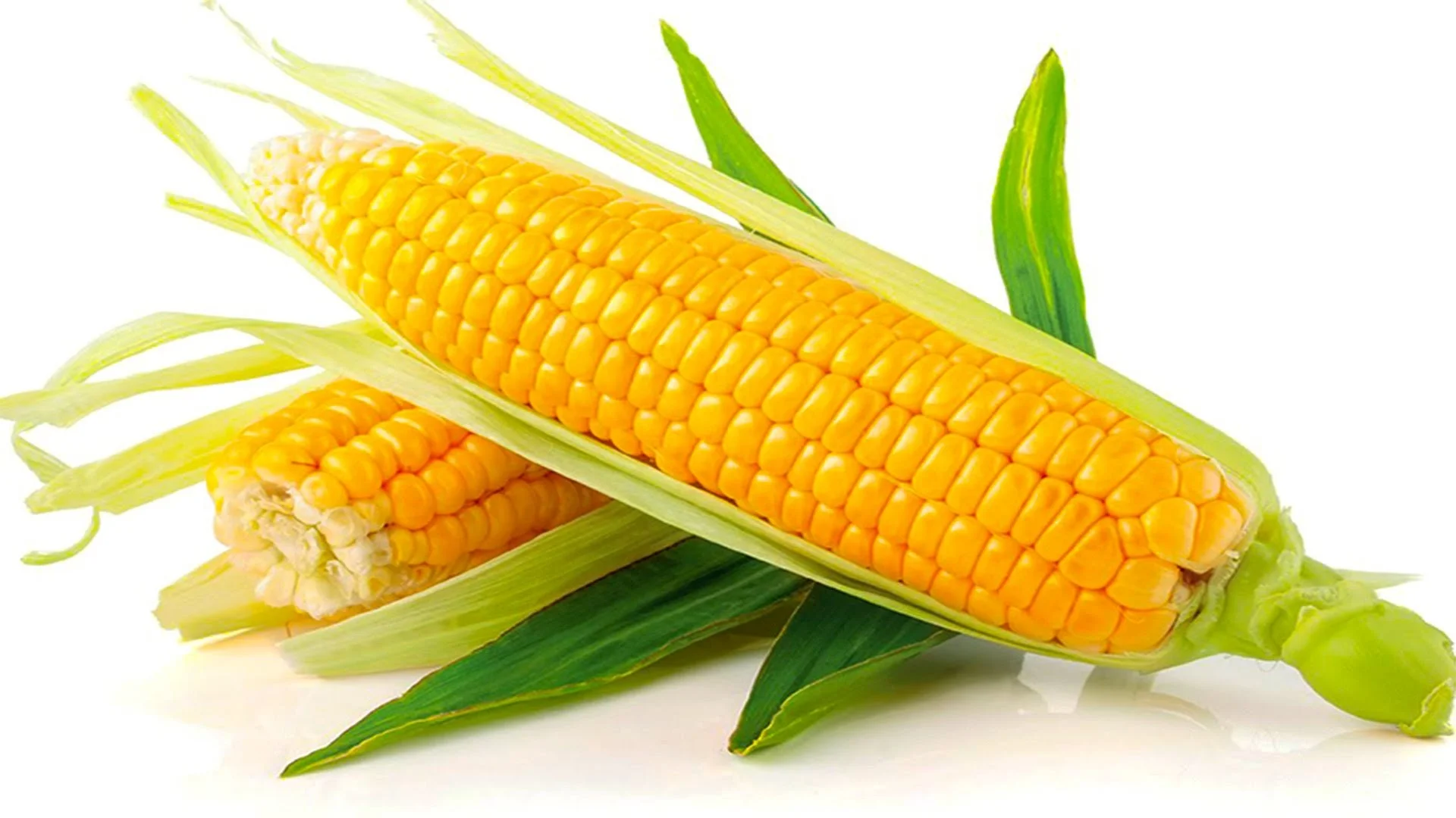 High quality Fresh vegetables and fruits AMERICAN CORN Cheap Price