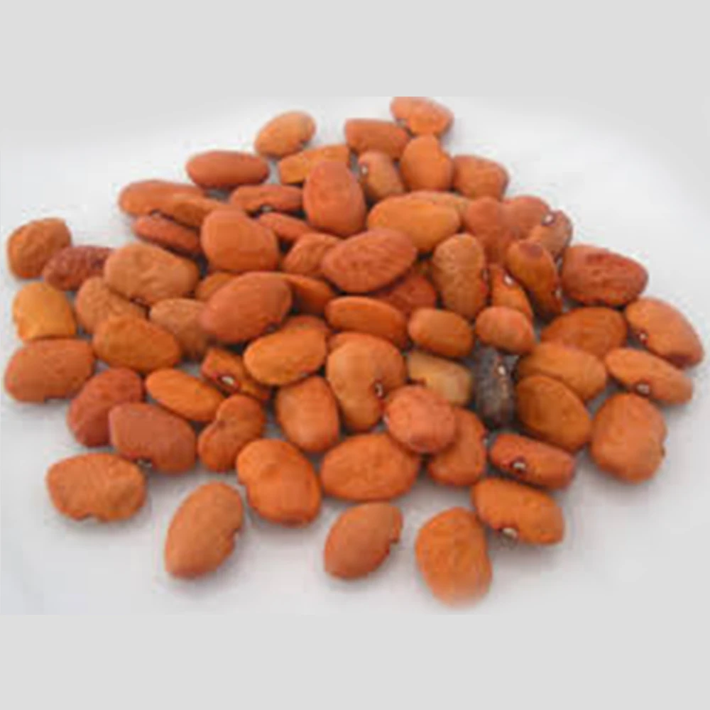 
 Натуральные бобы Tepary для пищевых продуктов  