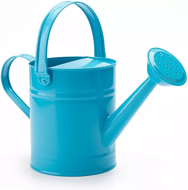 Металлическая железная кастрюля для полива дома и сада держатель растений Декор современный дизайн гальванизированная