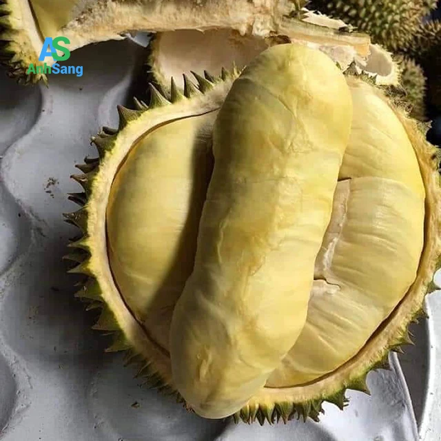  Свежий дуриан экспорт китай