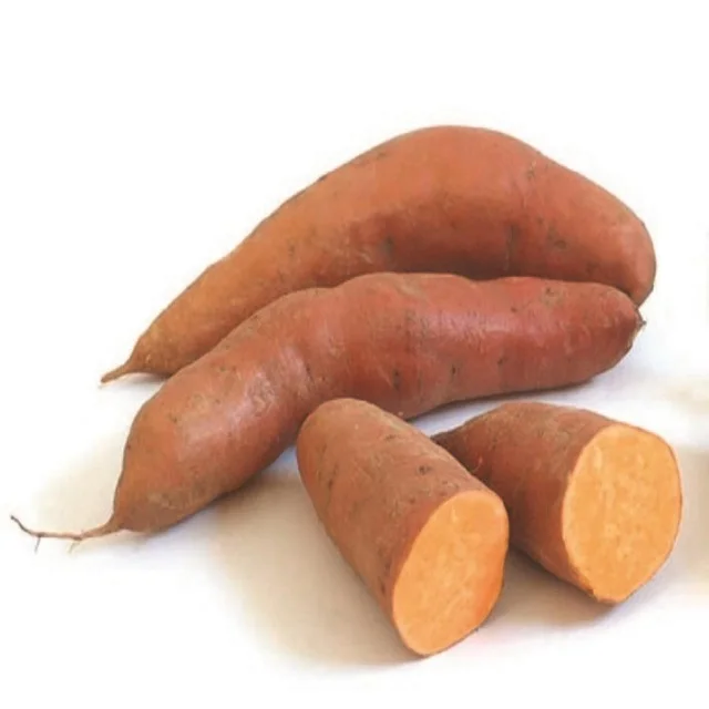 FRESH PURPLE SWEET POTATO - TOP CHEAP PRICE