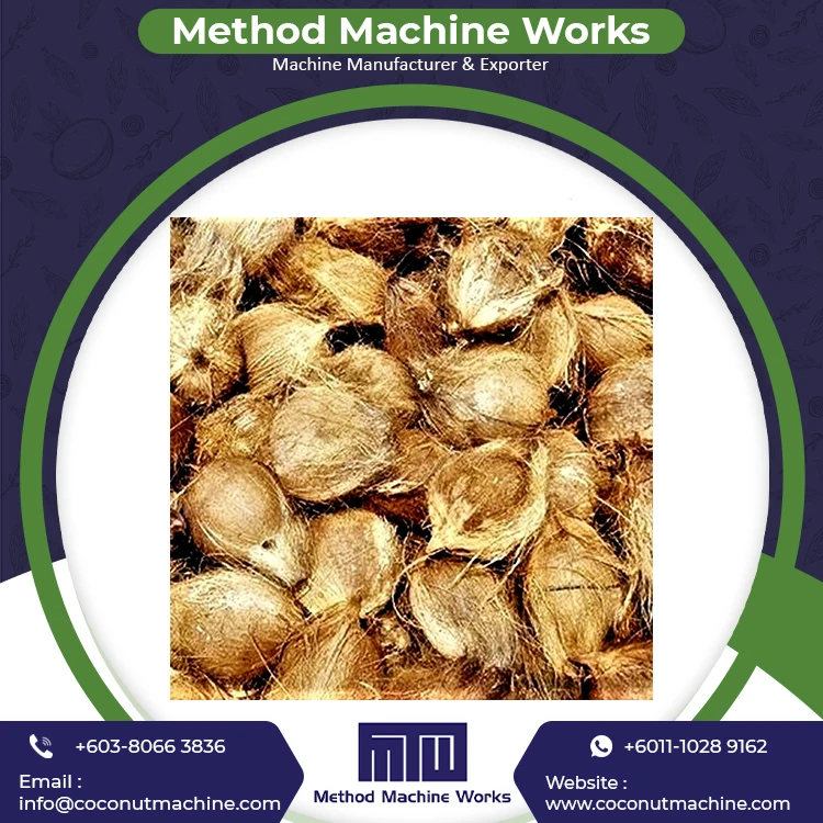 Fresh Organic Dehusked Coconuts for Sale Cheap Price Young Coconut Dehusking Supplier in Malaysia