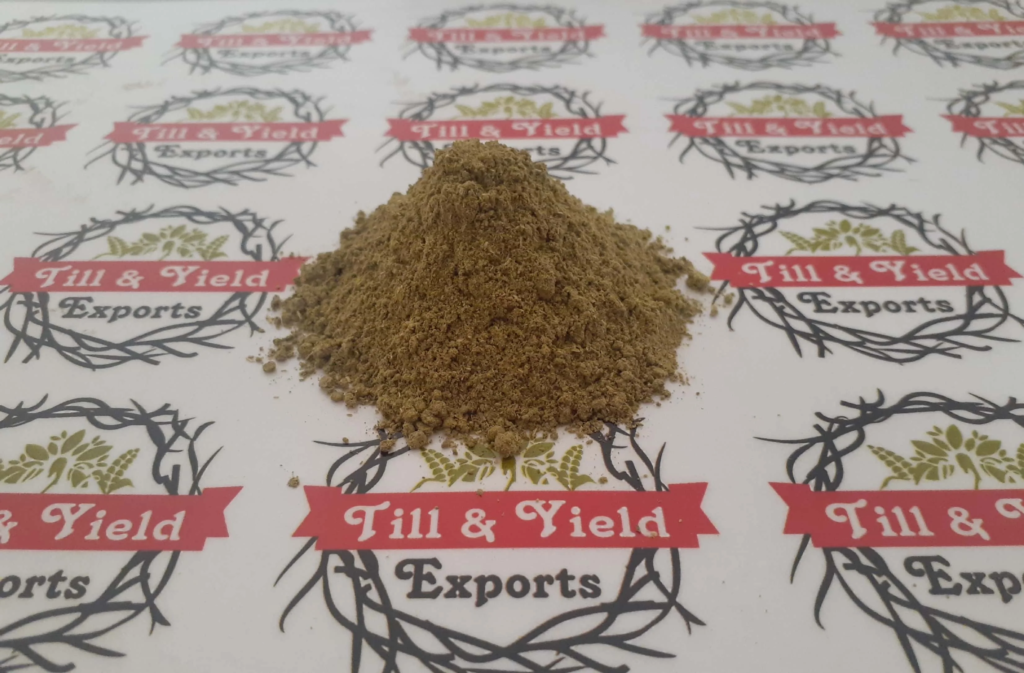 Mentha Arvensis - Mint - Mentha -Pudina Powder Many Stomach Disorders Inflammation And Treatment Of Fever Headache Cold