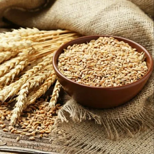 
Best Quality Soft Milling Wheat for Sales / Wheat Grain For Animal and Human Feed / Soft Wheat 