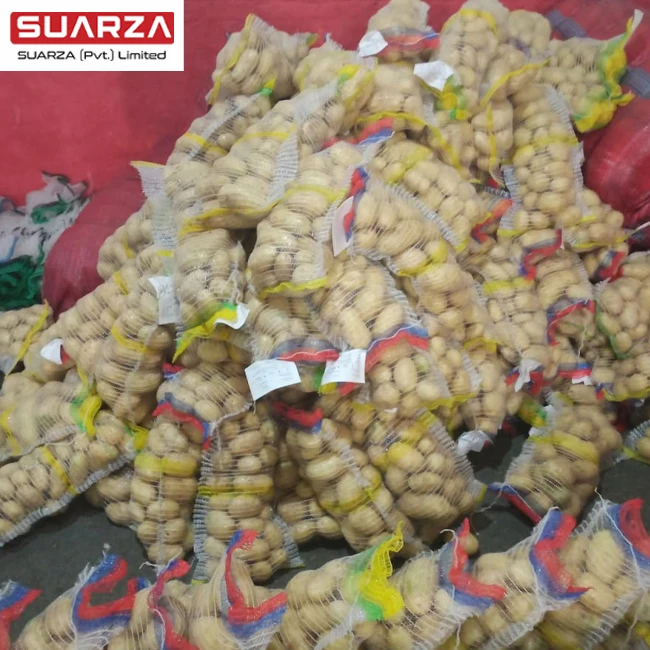 Russet Golden Yellow Potato At Best Price