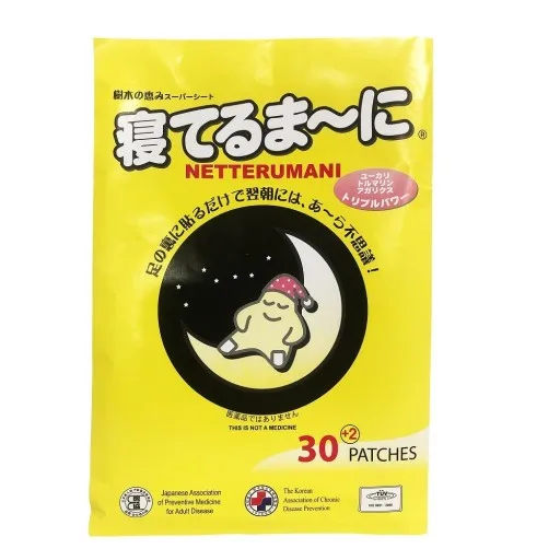 Japanese Netterumani Detox Foot Patch
