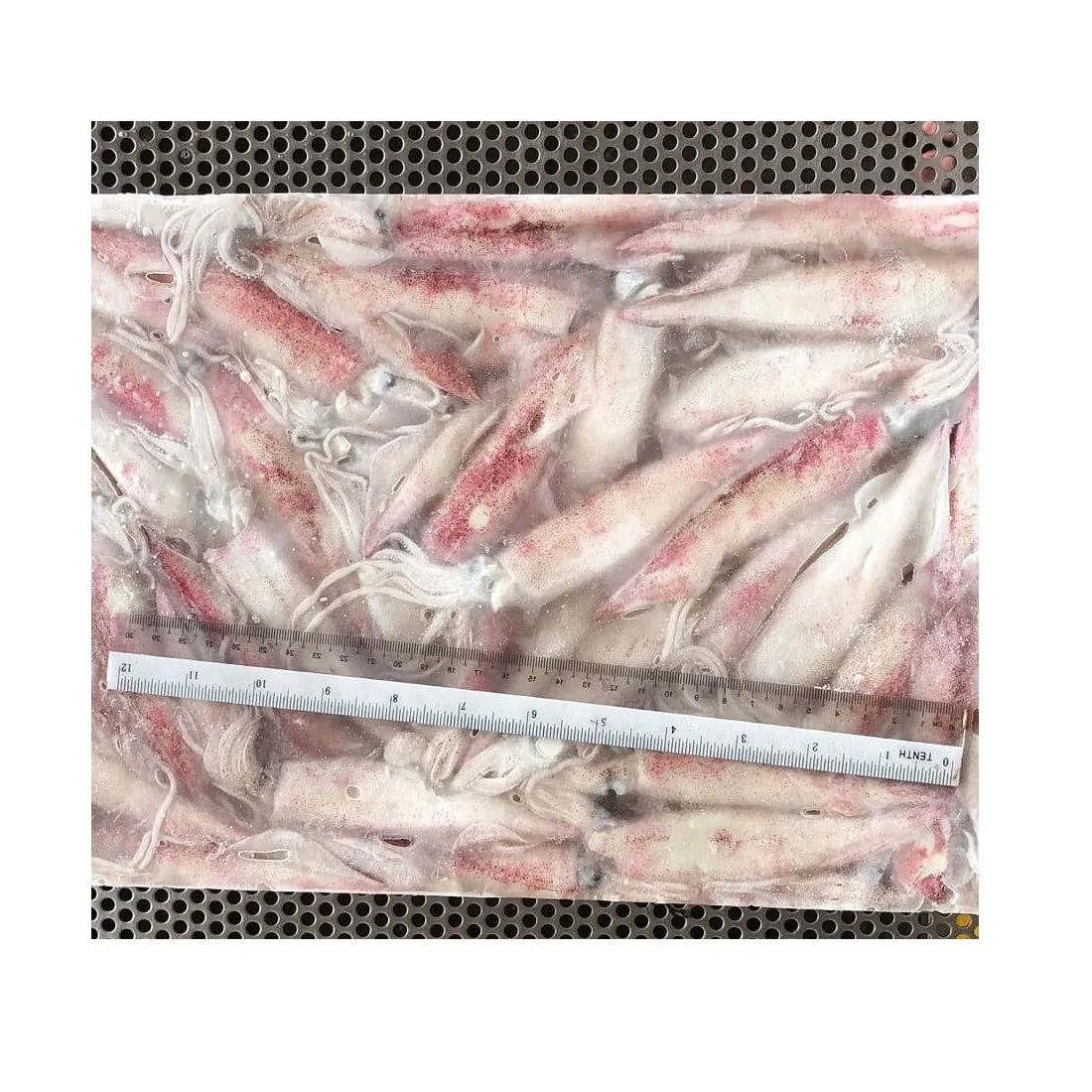 Свежий замороженный цельный кальмар с круглой иглой по лучшей цене для 2/3 3/5 4/5 4/6 5/7 (дюймы/шт), размер из малайзии