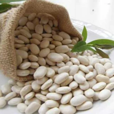 WHITE KIDNEY BEANS LONG SHAPE BIG WHITE KIDNEY BEANS/WHITE KIDNEY BEANS LARGE SIZE 2020 NEW CROP
