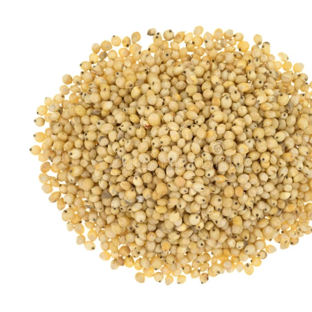 Hot Selling Sunflower Seeds Good Price