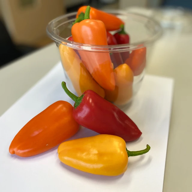  [Made in Korea] GAP KOREAN Snack Paprika Small Size Red Yellow Orange Chocolate Bell Pepper Juicy Taste