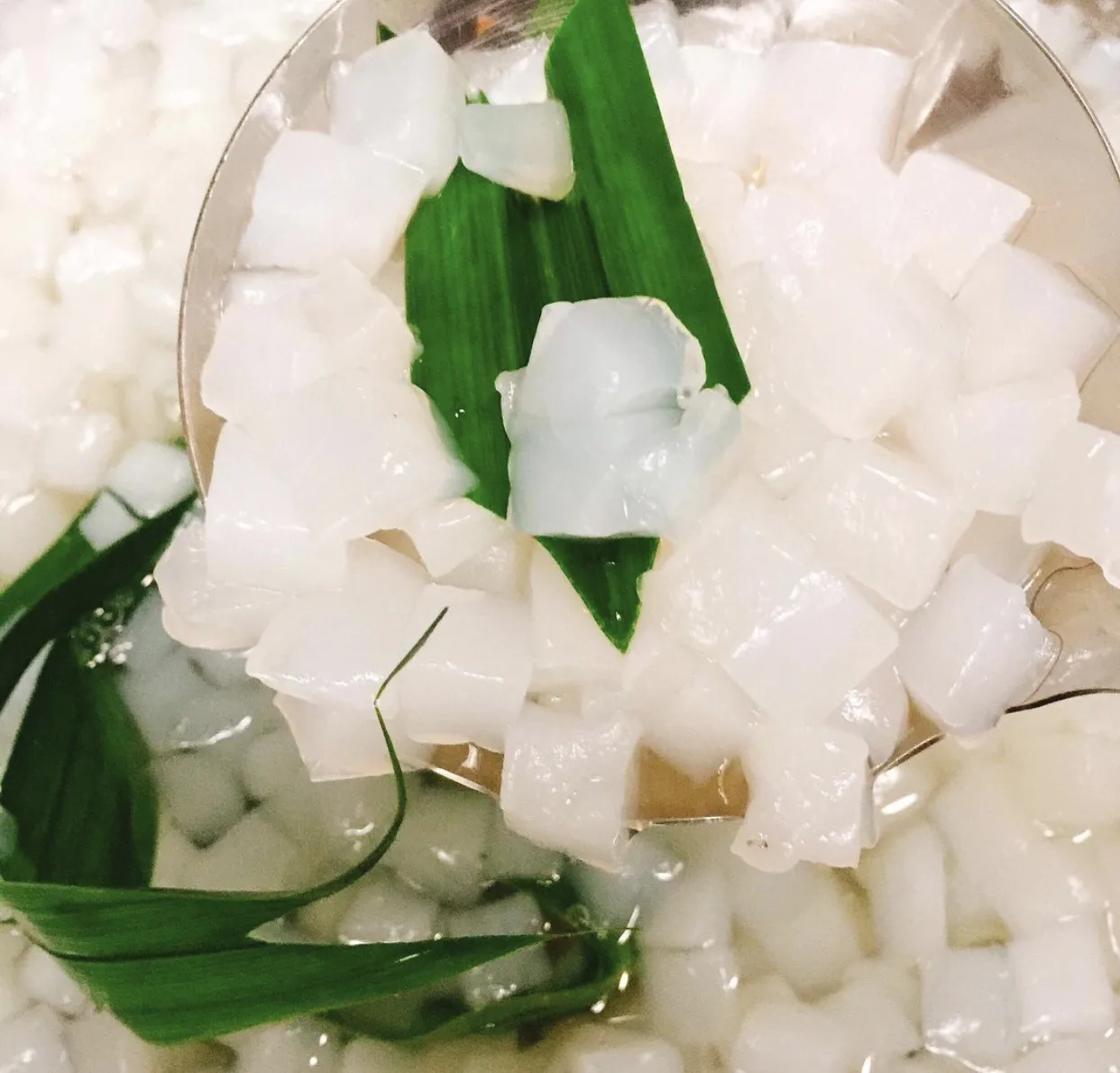 Кокосовое желе с тайским экспортом десерт NATA DE COCO из Вьетнама/Ms.lili + 84 397157491