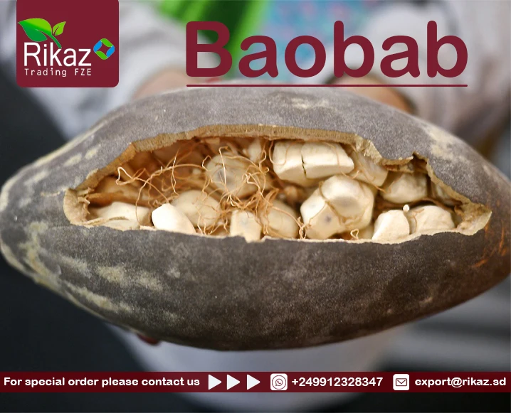 Высококачественное масло Baobab baobab порошок и фрукты для приготовления вкусного сока