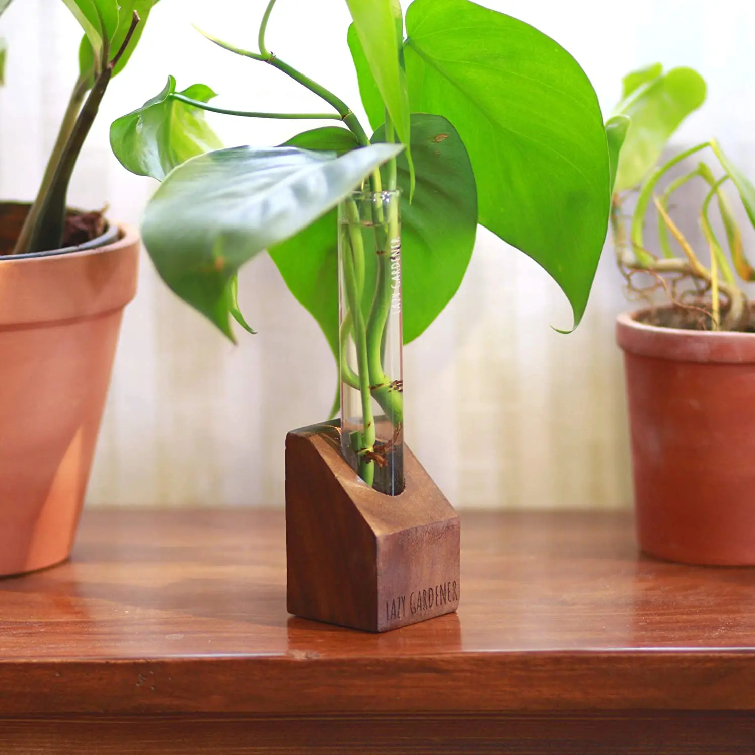  Ленивый садовый стеклянный столешница с деревянной подставкой | Гидропонный плантатор для домашнего декора
