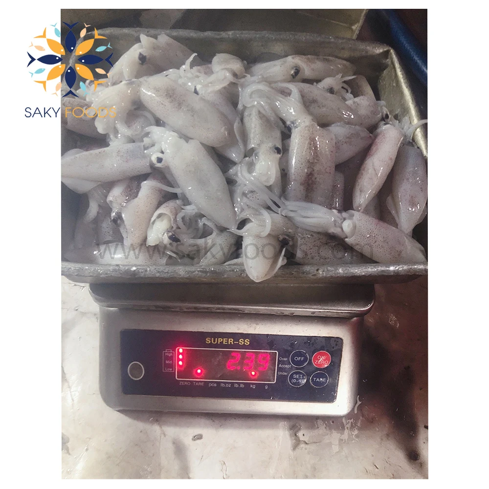 Frozen squid from Vietnam High Quality loligo squid for Exported