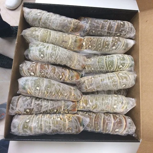 
FROZEN LOBSTER / FROZEN LOBSTER TAIL / FRESH LIVE LOBSTER 