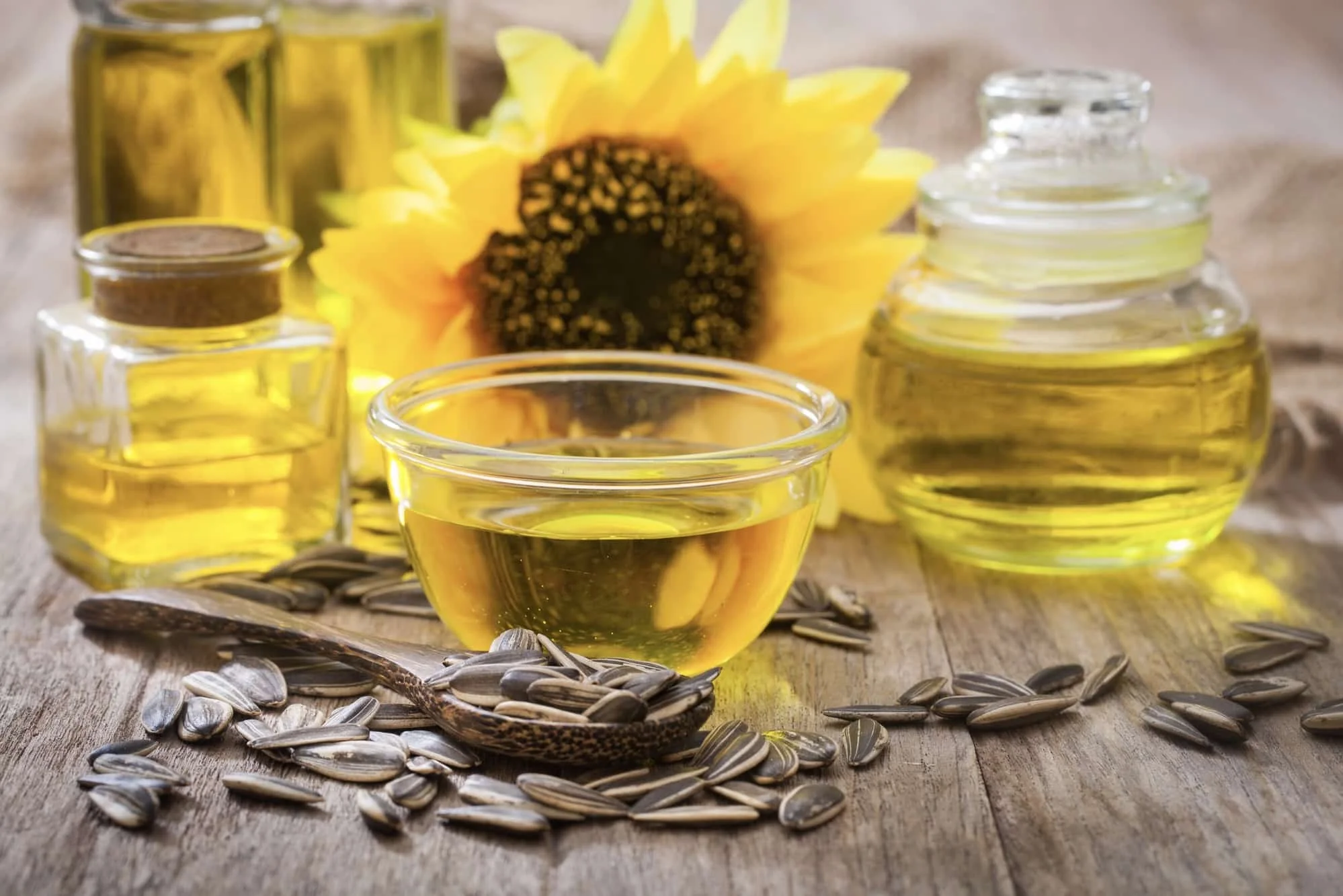 wholesale Sunflower oil Refined Edible Sunflower Cooking Oil Refined Sunflower Oil from South Africa