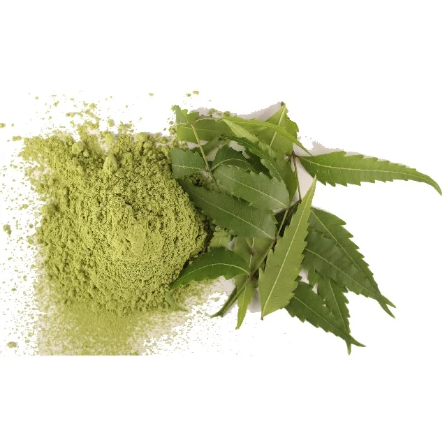 Organic Azadrichta Indica (Indian Lilac / Neem) Powder Dried Organic Wholesale Hot Wholesale Hot Food Seasoning  Whole Single