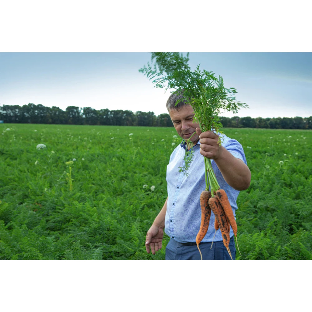 Baked beans with vegetables in 500g Glass Jar, HALAL, ISO, 2 Years Shelf Life