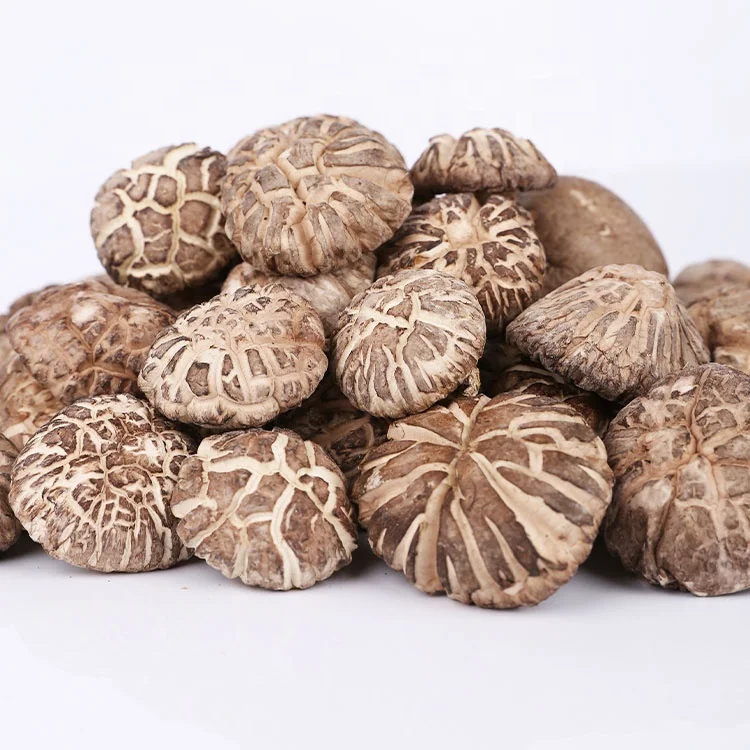 Good Quality Wholesale Supply Dried Straw Mushroom For Bulk