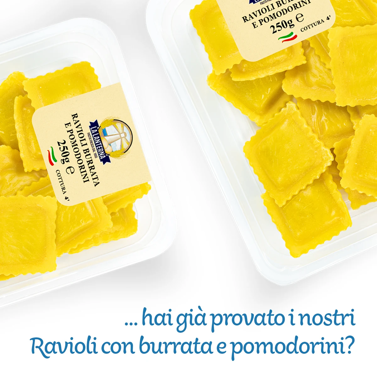 Top quality Authentic Italian recipe Fresh Ravioli with burrata and cherry tomatoes Traditional Pasta for  Export