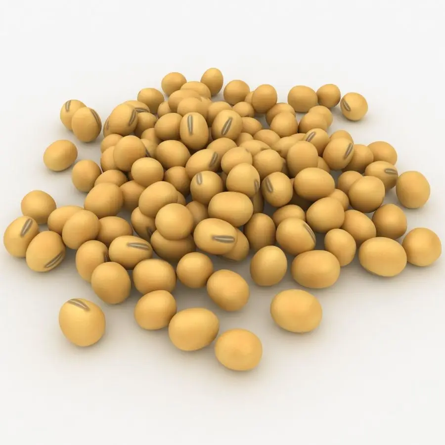 Soybeans ,Non gmo yellow soybean ,soya bean seed