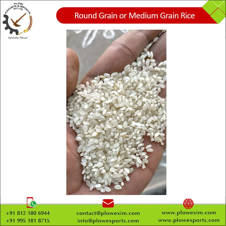 Top Selling New Stock Round Grain or Medium Grain Parbolied Rice 5% Broken Round Rice from India