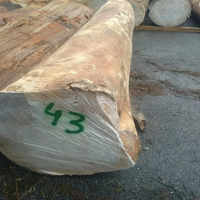 Brazilian Hardwoods And Softwoods