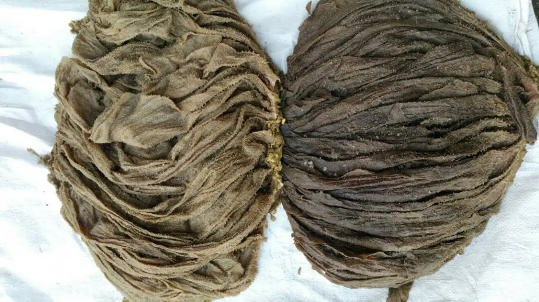 Salted Frozen Beef Omasum