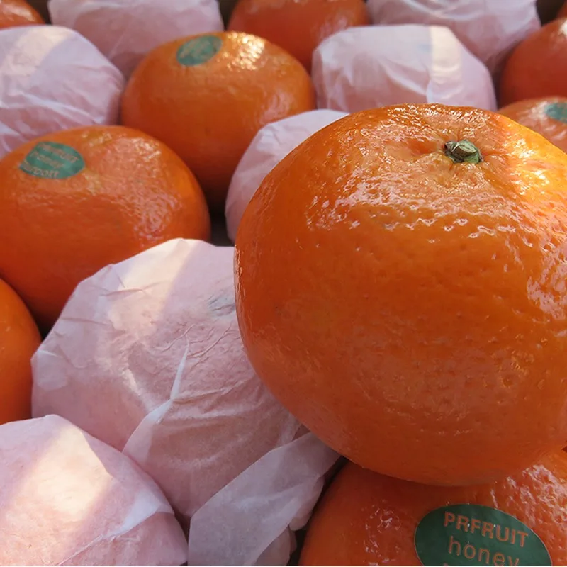 Лучшая цена для оптового экспорта 100% свежий натуральный сладкий мандарин оранжевый из Пакистана Тип 2