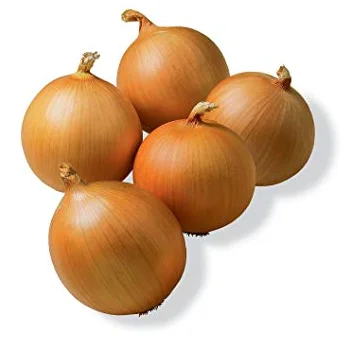 Onion RED INDIAN Style Weight Origin Type Shape Product ISO Fresh Place Model ONIONS Round Maturity Cultivation Common
