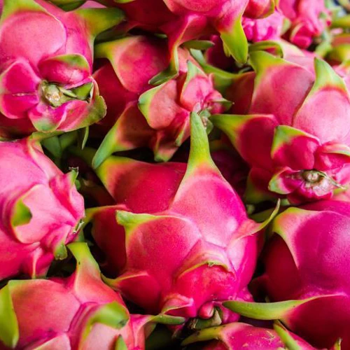 
Buy Fresh Dragon Fruit/ Pitaya With Good Price Origin Vietnam /KATIE N +84352310575 