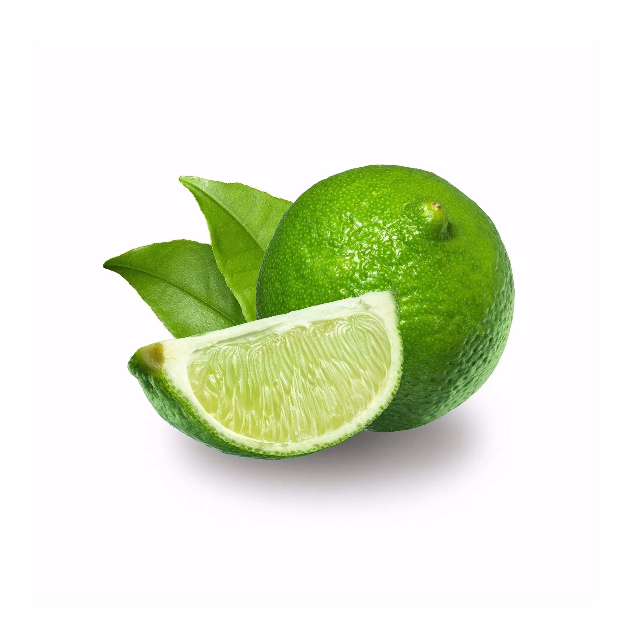 BEST PRICE FRESH LIME / LEMON SEEDNESS  SALES / FROM VIETNAM / AMBER