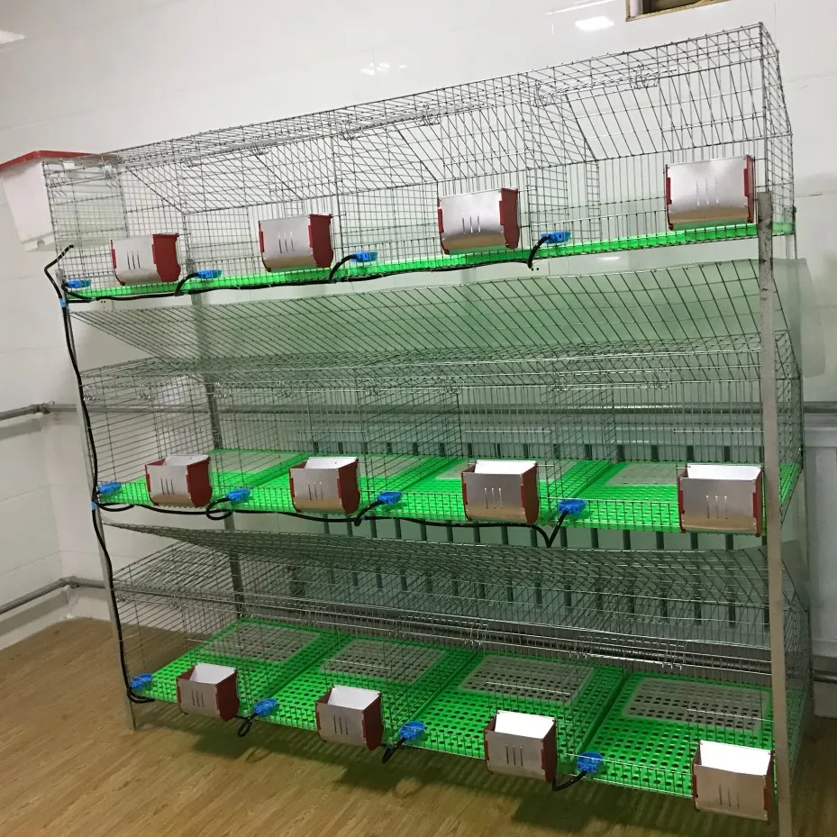 Easy Clean Rabbit Cage In Kenya Farm With Plastic Rabbit Cage Trays