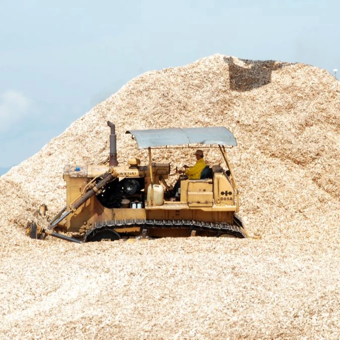 Распродажа вьетнамская Акация // сосна эвкалиптовая древесная щепа для бумаги /// низкая цена