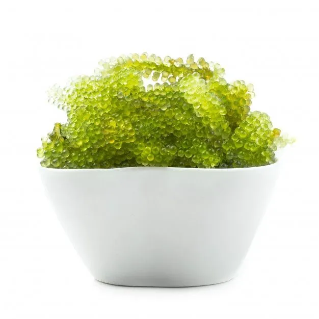  2021 г. лидер продаж во Вьетнаме seagизнасилование лато мисс Ниан + 84 363 210 230