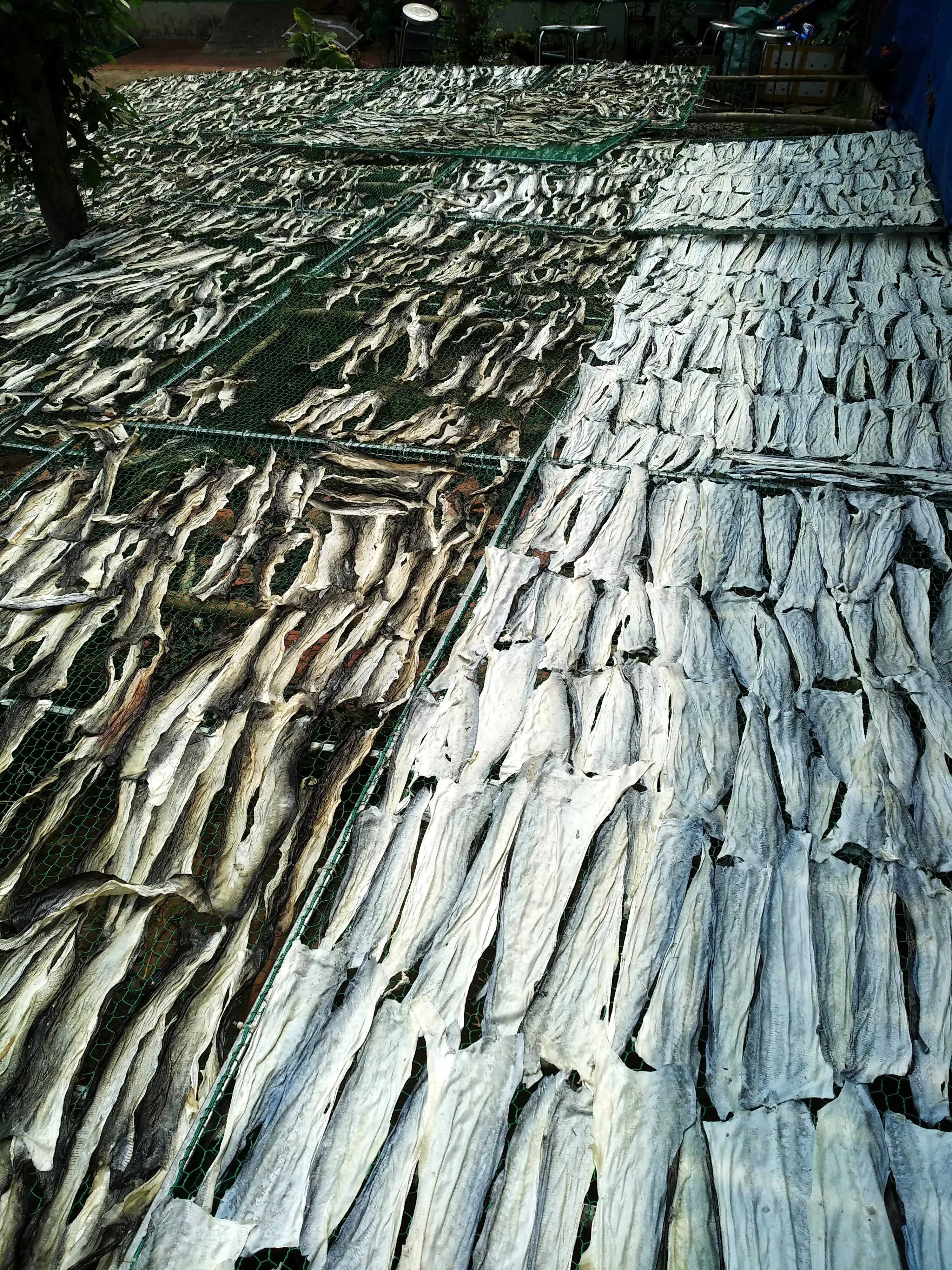 
Dried fish skin Pangasius for snack from Viet Nam 