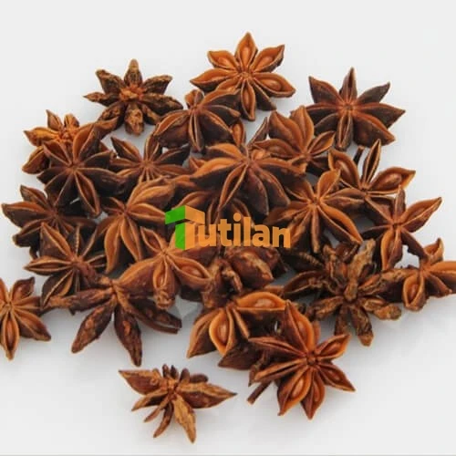 FACTORY WHOLESALE LOWEST PRICE AND BEST QUALITY SPICES AND SEASONING  STAR ANISE ORGANIC VIETNAM